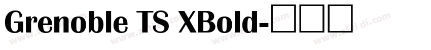 Grenoble TS XBold字体转换